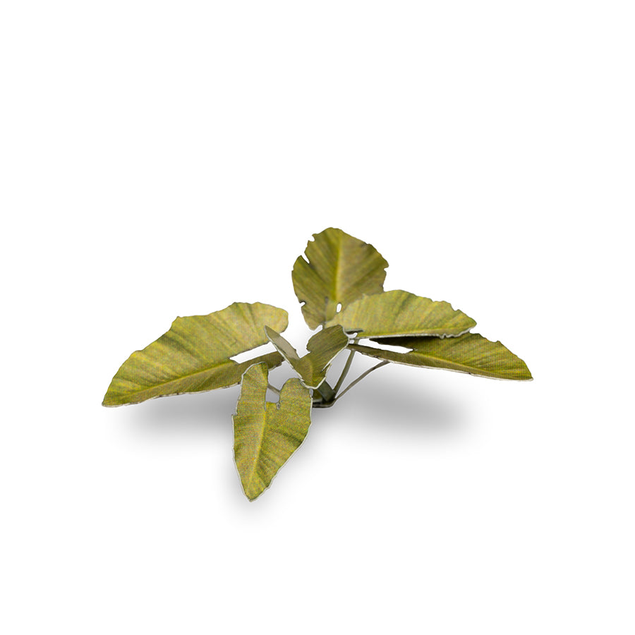 Gamers Grass - Laser Plants - Elephant Ear (GGLP-EE)