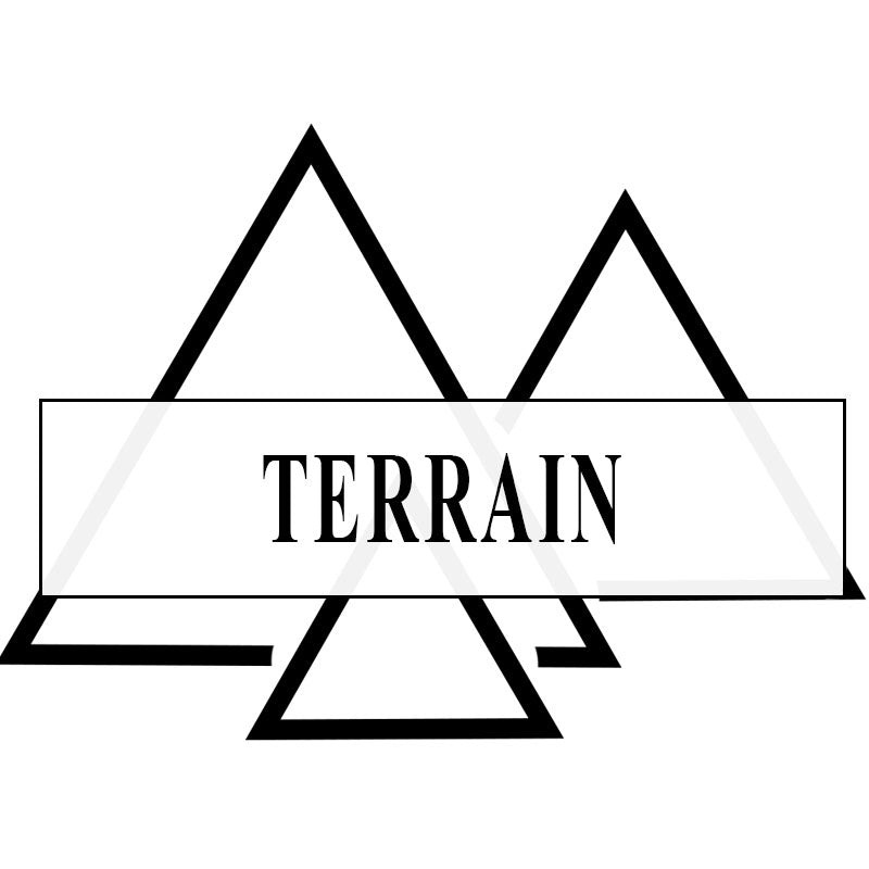 Terrain