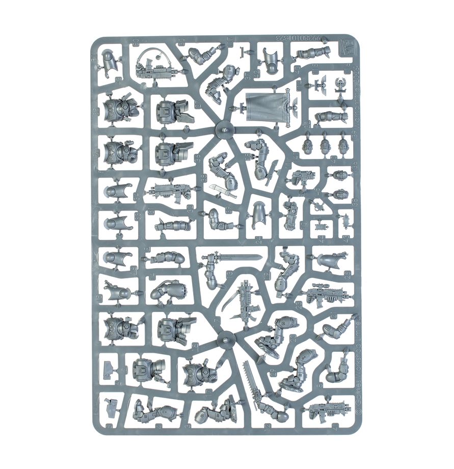 Warhammer 40k Space Marines: Primaris Intercessors (5-Model Combat Squad - New on Sprue) - Painted Miniature Showcase & Kit Overview