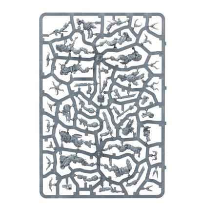 Warhammer 40k / Kill Team: Fellgor Ravagers (10 Beastmen Models) – New on Sprue