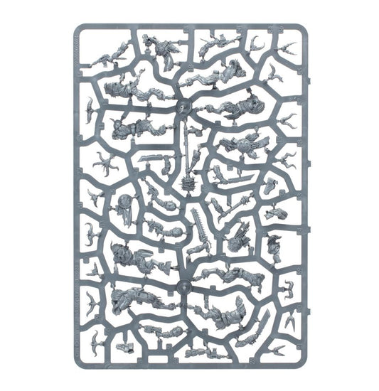 Warhammer 40k / Kill Team: Fellgor Ravagers (10 Beastmen Models) – New on Sprue