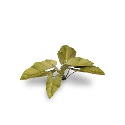 Gamers Grass - Laser Plants - Elephant Ear (GGLP-EE)