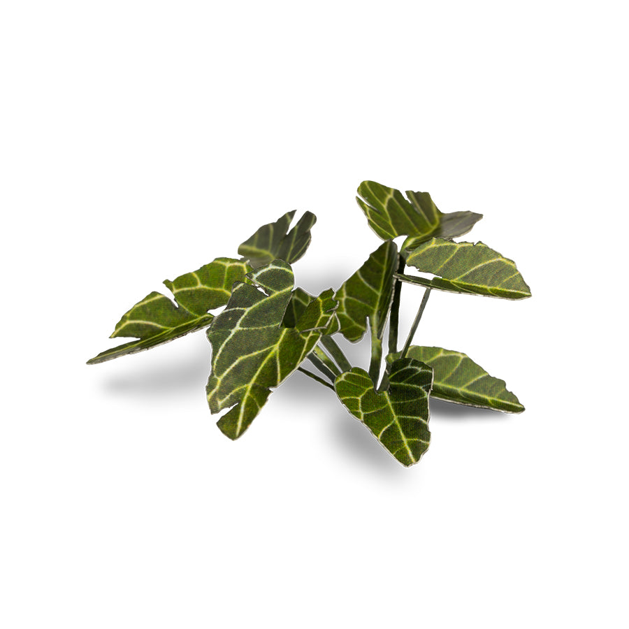 Gamers Grass - Laser Plants - Elephant Ear (GGLP-EE)