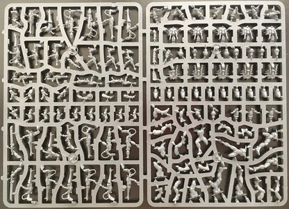 Warhammer 40k: Aeldari Guardians Full Sprue Set (11 Models - Complete Box Sprues)